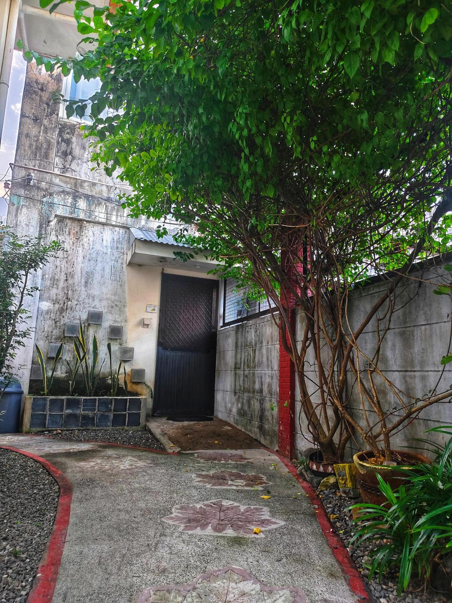 ألامينوس Monte Rio Gardens Bed & Breakfast المظهر الخارجي الصورة